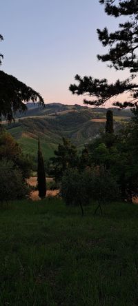 Landschaft Emilia Romana &copy;Susanne Reuter 