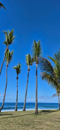 Strand La Reunion &copy;Susanne Reuter 