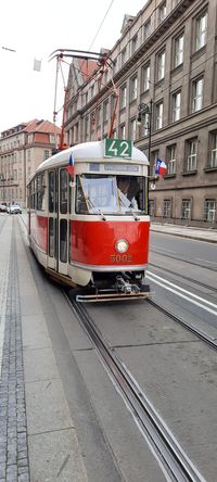 Stra&szlig;enbahn 1 &copy;SusanneReuter.png