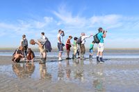 Natuurexcursie_de_Schorren_Natuurmonumenten_VVV-Texel_fotograaf_Gertha-Wessels