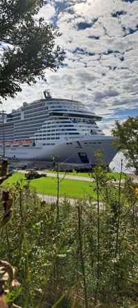 MSC Meraviglia SReuter