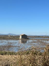 15000 Hektar Reisanbaufl&auml;che Albufera 2 &copy;SusanneReuter 